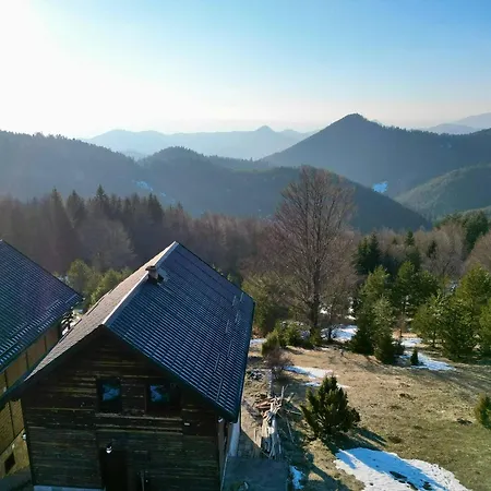 The Emperor Of The Forest * Timotijevici