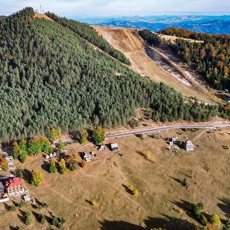 The Emperor Of The Forest Timotijevici