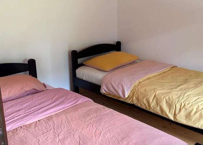 The Emperor Of The Forest 別荘