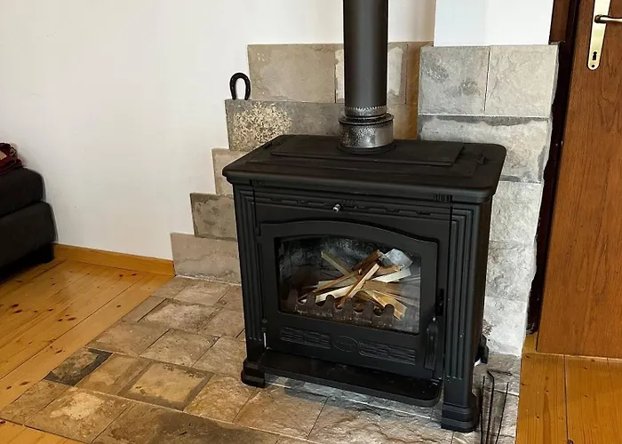 The Emperor Of The Forest *