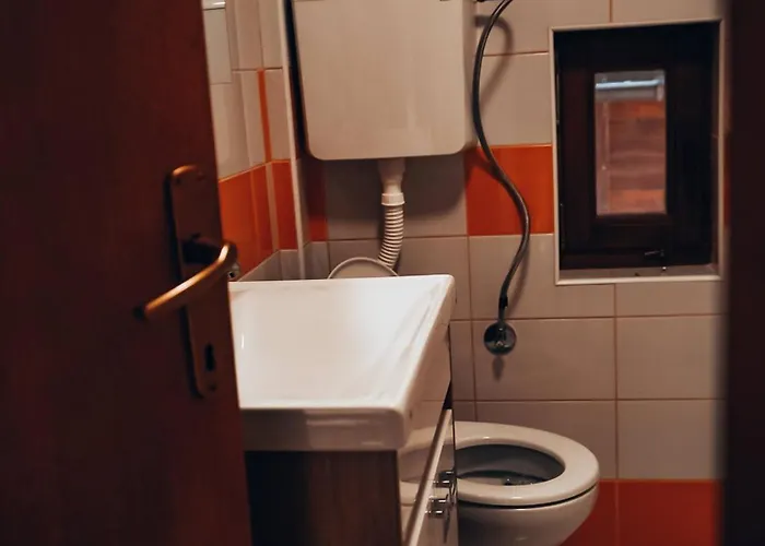 The Emperor Of The Forest