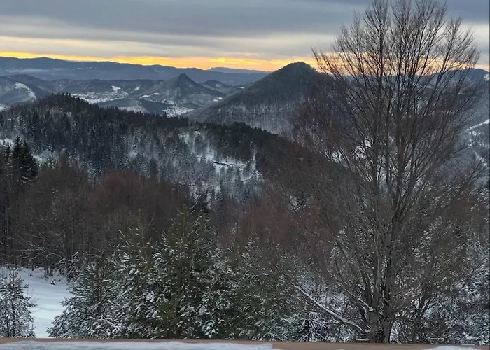 別荘 The Emperor Of The Forest *