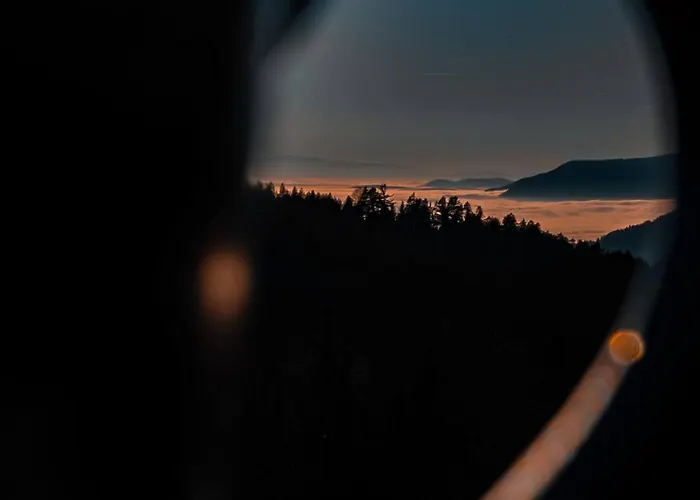 The Emperor Of The Forest * Timotijevici