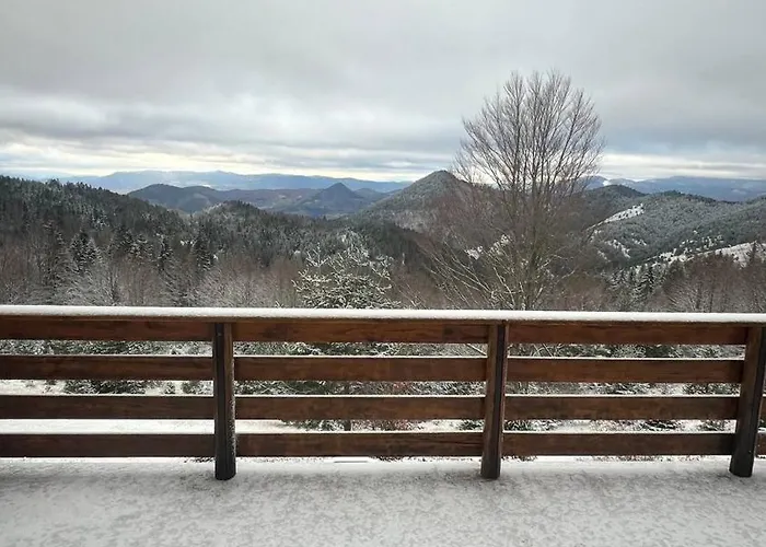 別荘 The Emperor Of The Forest