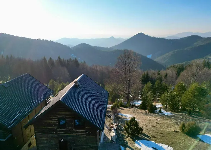 The Emperor Of The Forest * Timotijevici