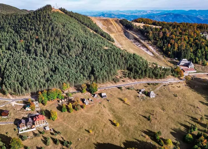 The Emperor Of The Forest Timotijevici