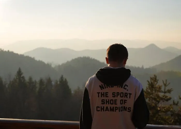 The Emperor Of The Forest 別荘 *