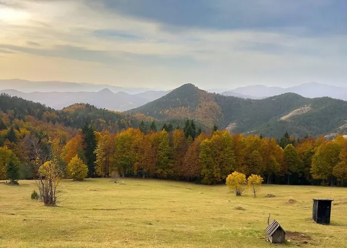 The Emperor Of The Forest * Timotijevici
